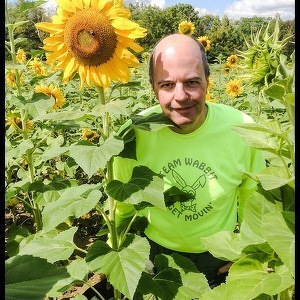 Team Page: Team Wabbit